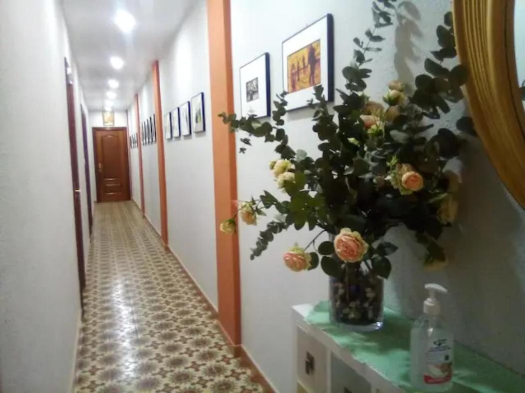 Las Golondrinas Habitacion En Piso Centrico Para Una O Dos Personas Zaragoza Buitenkant foto